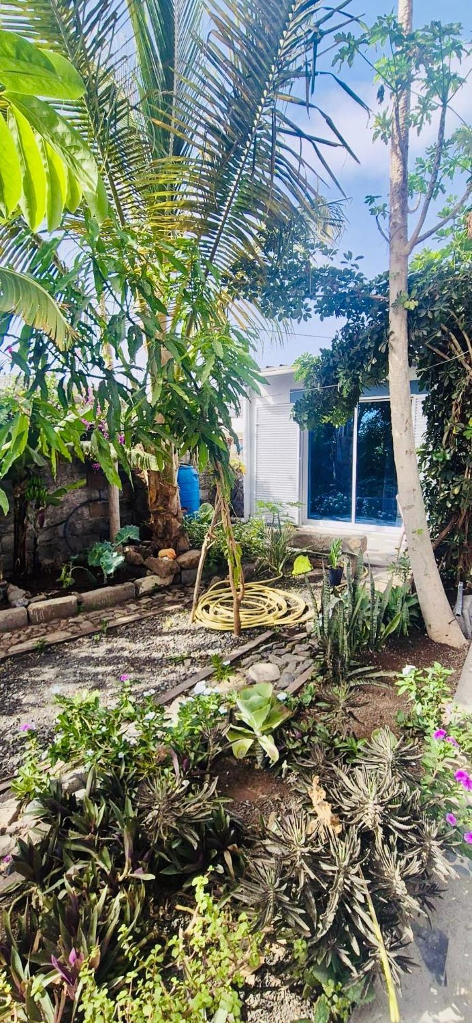 Апартаменты Casa Chiquinha Ribeira da Prata Экстерьер фото